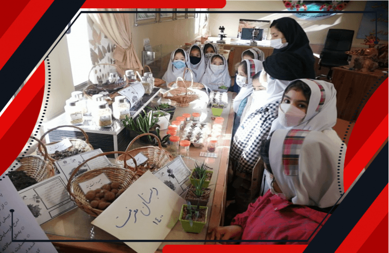 نمایشگاه گل و گیاه